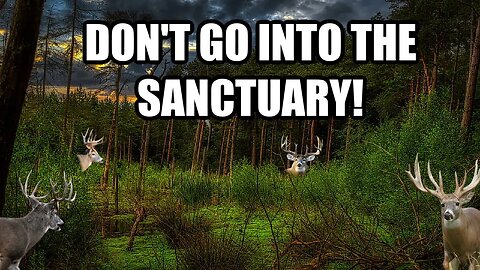 Deer Sanctuaries with Dan Infalt