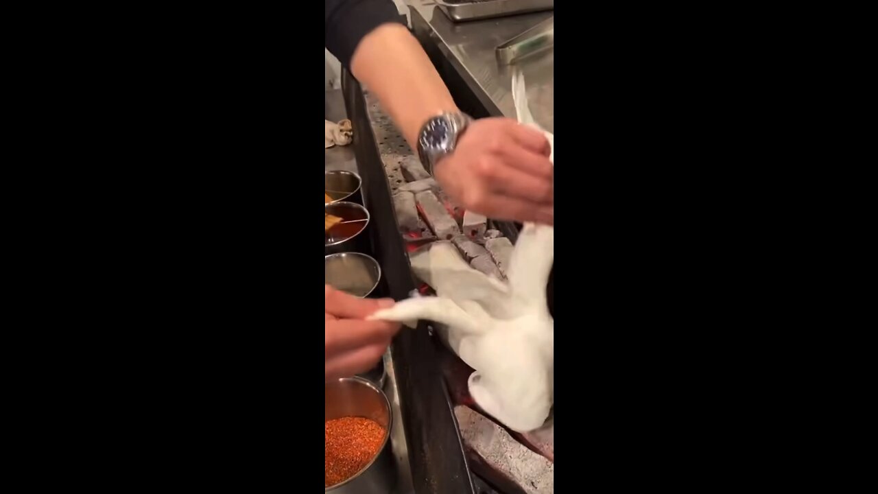 When your Dog gets way too comfortable