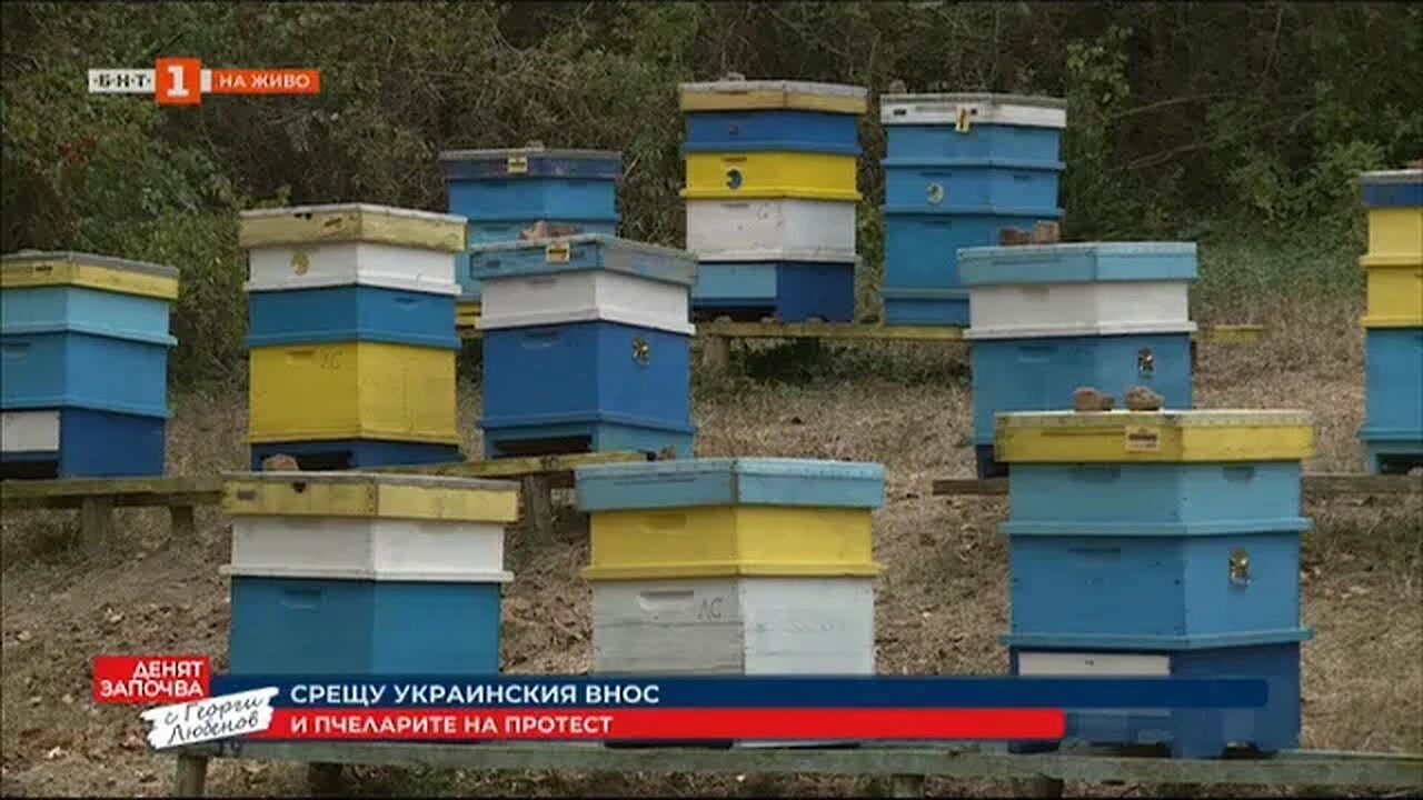 И пчеларите на протест срещу украинския внос какви са исканията им