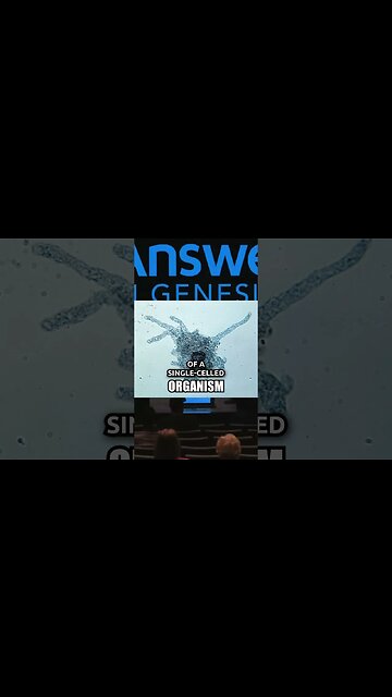 The Big Bang was NOT Observable!