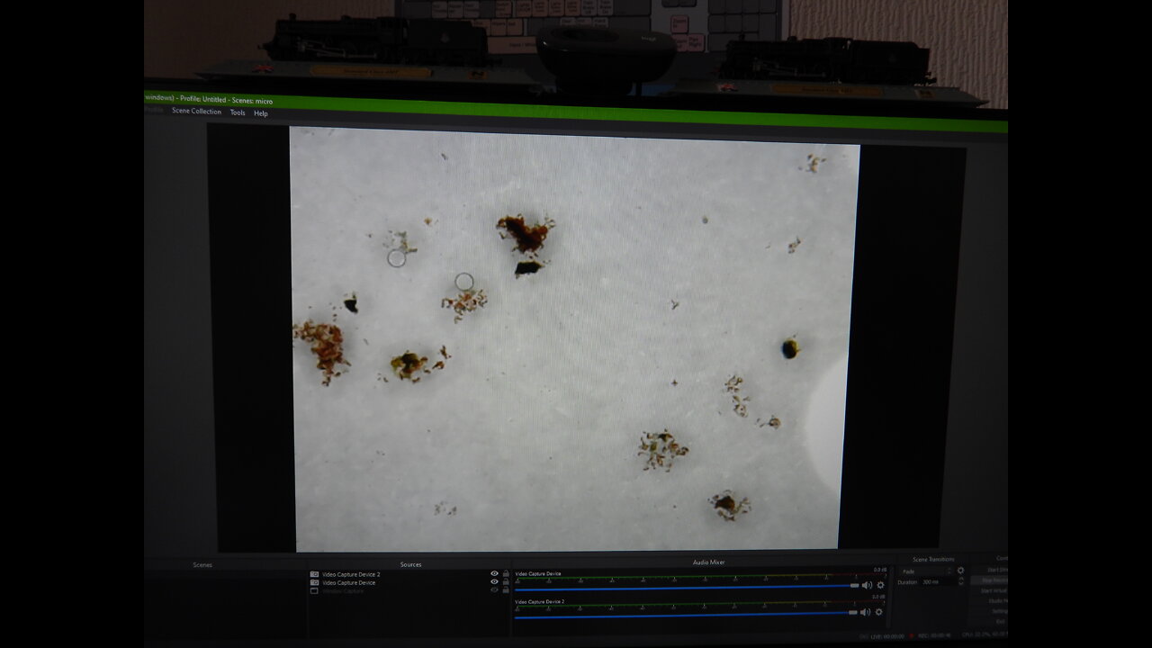 30.07.2022 1555 to 1640 - Garden Rain Water under the microscope - UNDER COVER SLIDE (OBS STUDIO)