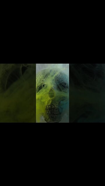 Clip from Hits From The Bong music video