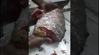 Carp Fish #Fish Cutting Skills #কার্প মাছ কাটা #unique fish cutting #shorts #trending #reels