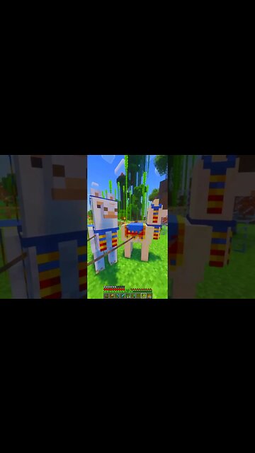 Minecraft Realms 1.19 Lets Play 12