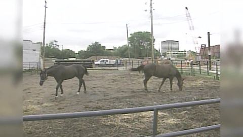 IMPD Mounted Patrol 062000