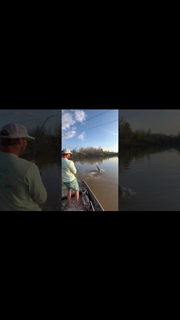 We Have Lift Off #fishing #animals #adventure