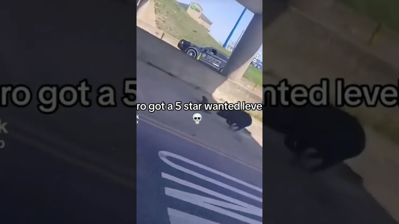 Bro has a 5 wanted level