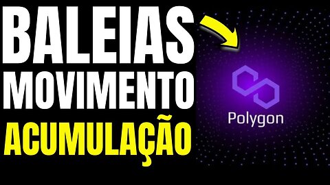 BALEIAS DADOS INDICAM MAIOR ACUMULAÇÃO DE POLYGON MATIC