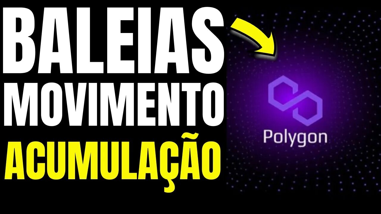 BALEIAS DADOS INDICAM MAIOR ACUMULAÇÃO DE POLYGON MATIC