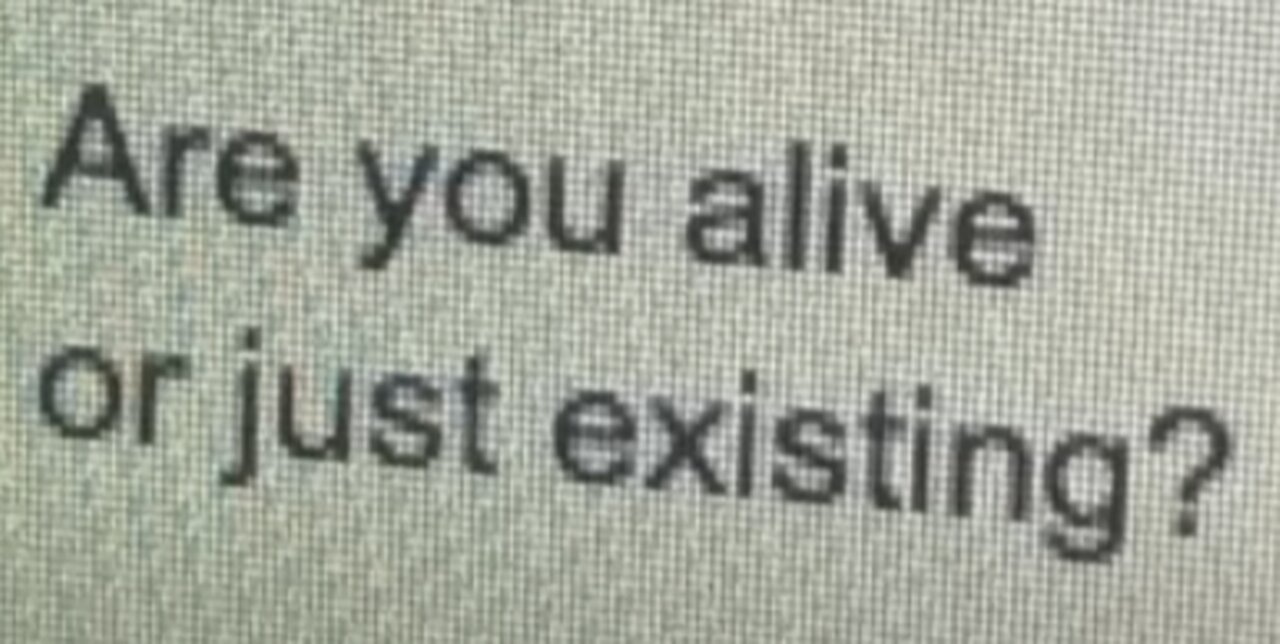 Blaze and Shadow MMD