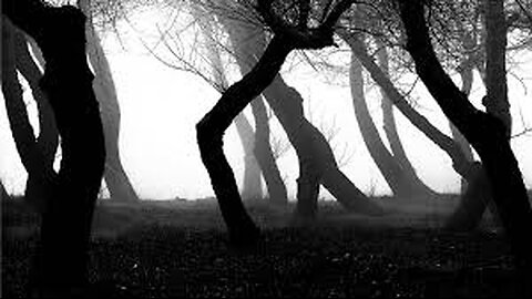 Estamos nas trevas porque estamos sós?