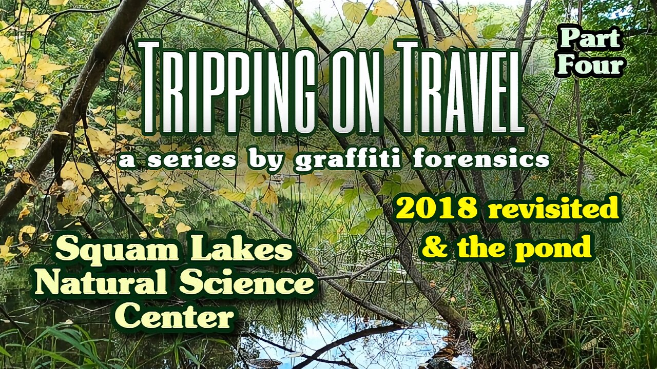 Tripping on Travel: Squam Lakes Natural Science Center, pt 4