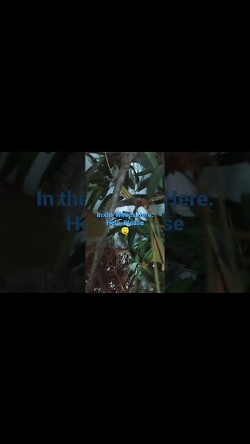 in the Weeds. help me, please 🥺