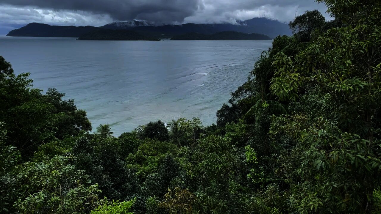 Jungle trip to Long Beach - Koh Chang Thailand