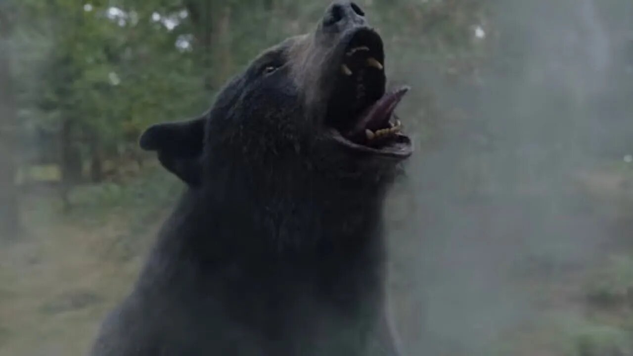 Cocaine Bear (2023) Trailer