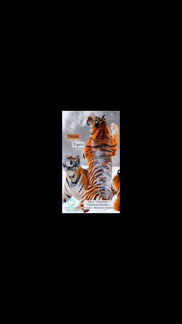 Tigers: English-to-Russian #shorts