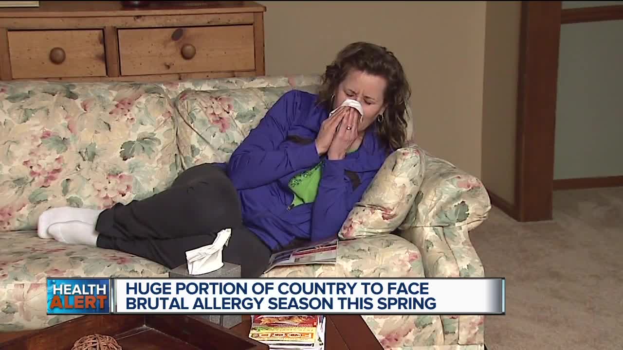 Huge portion of country to face brutal allergy season this spring