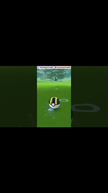 Pokémon GO-Shiny Feebas