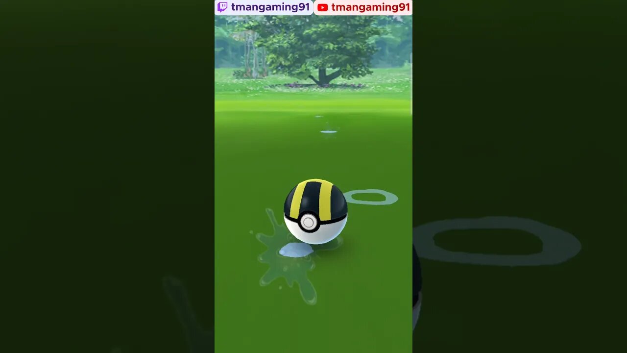 Pokémon GO-Shiny Feebas