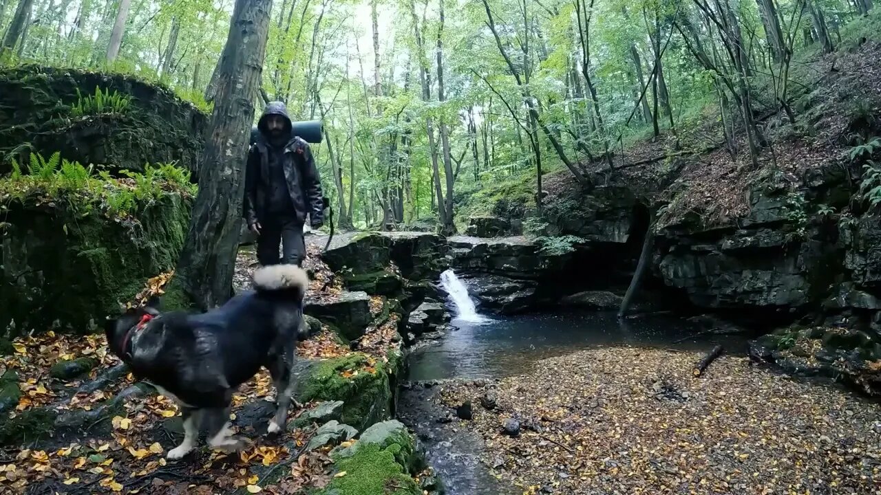 Camping in the rain with my dog *5