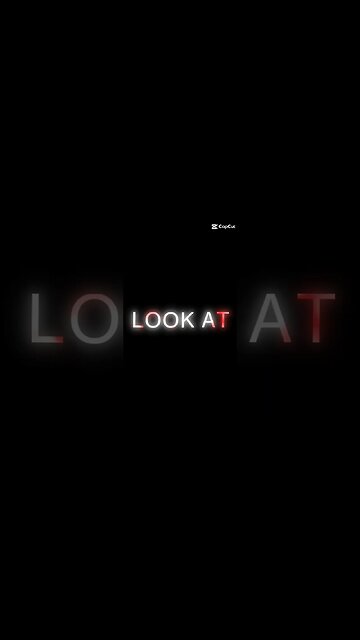 crypto Chihuahua #crypto #blockchain #btc #agix #bitcoin