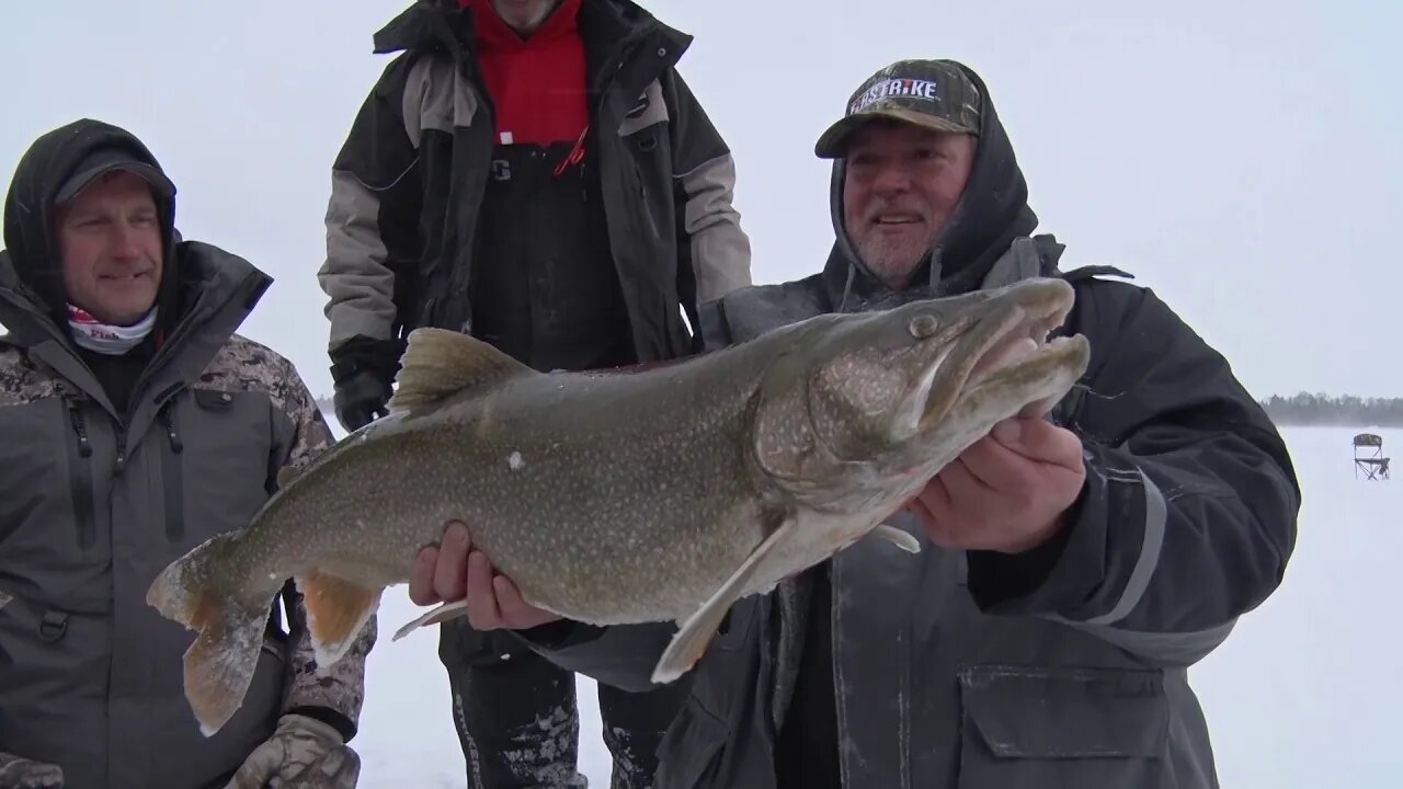 Multi-species Ice Action on the Willow Flowage