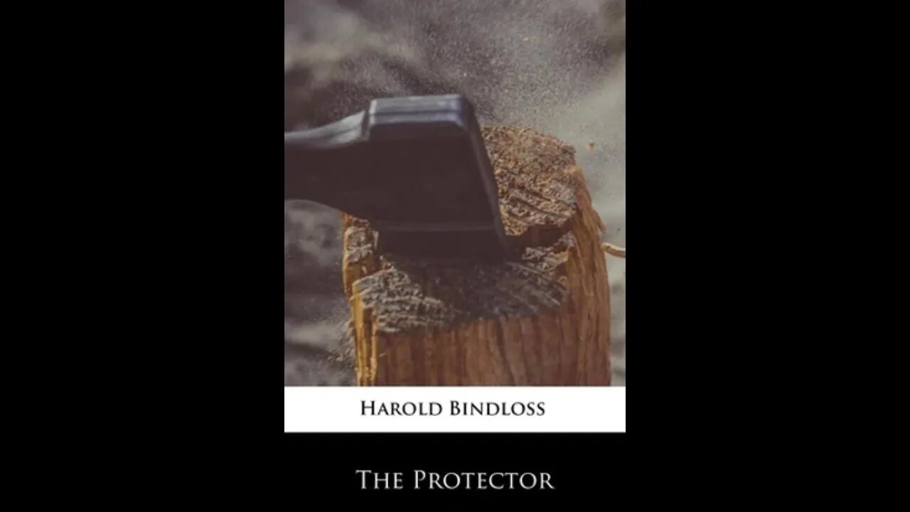 The Protector by Harold Bindloss - Audiobook