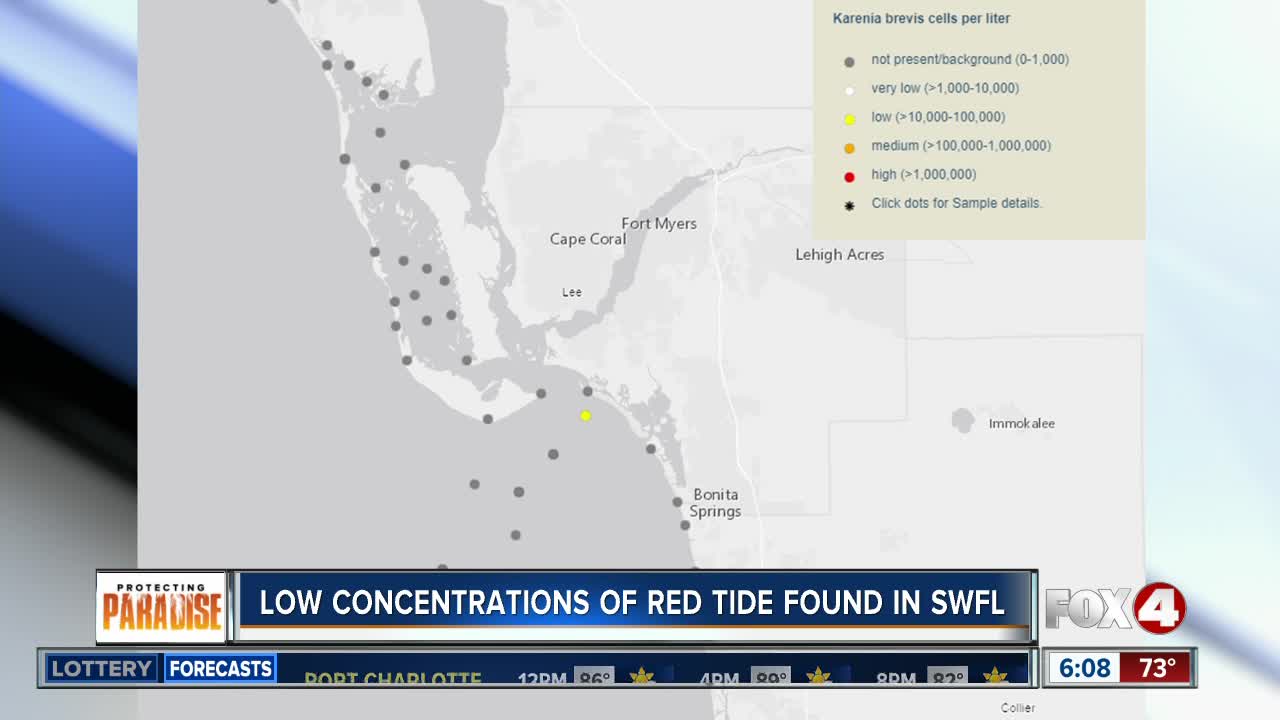 Some low red tide readings found in Southwest Florida waters