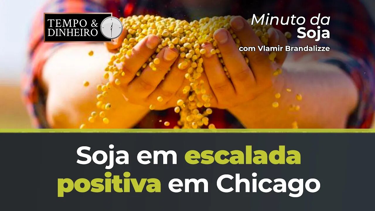 Soja em escalada positiva em Chicago