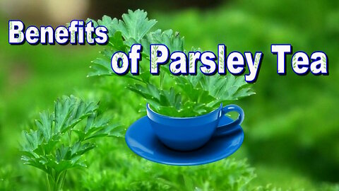 Benefits of Parsley Tea