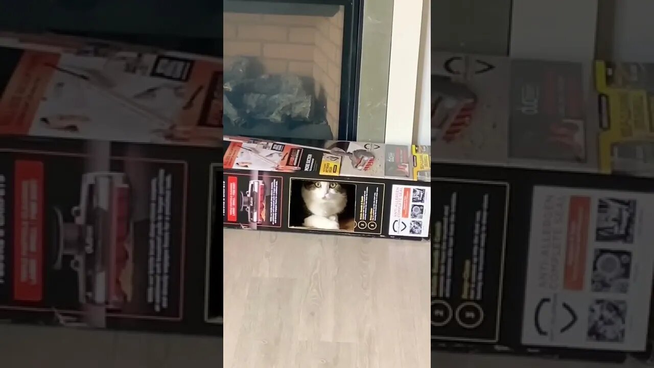Tell me what you see - He is like a hidden police trying to get you pulled over by speeding