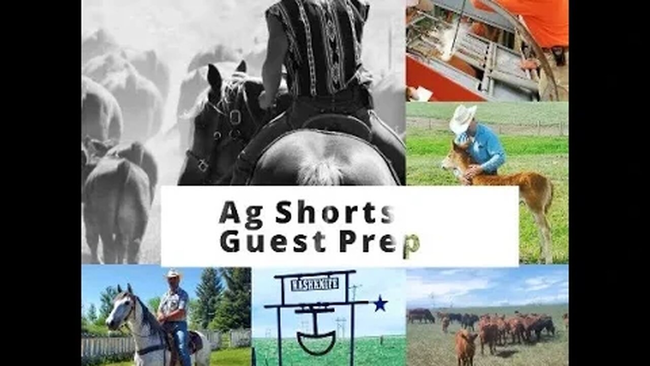 Guest Preparations - Ag Shorts