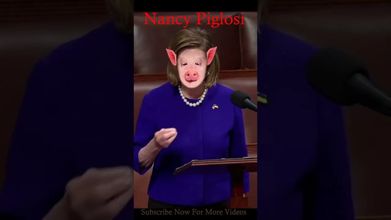 Nancy Piglosi Oink Oink