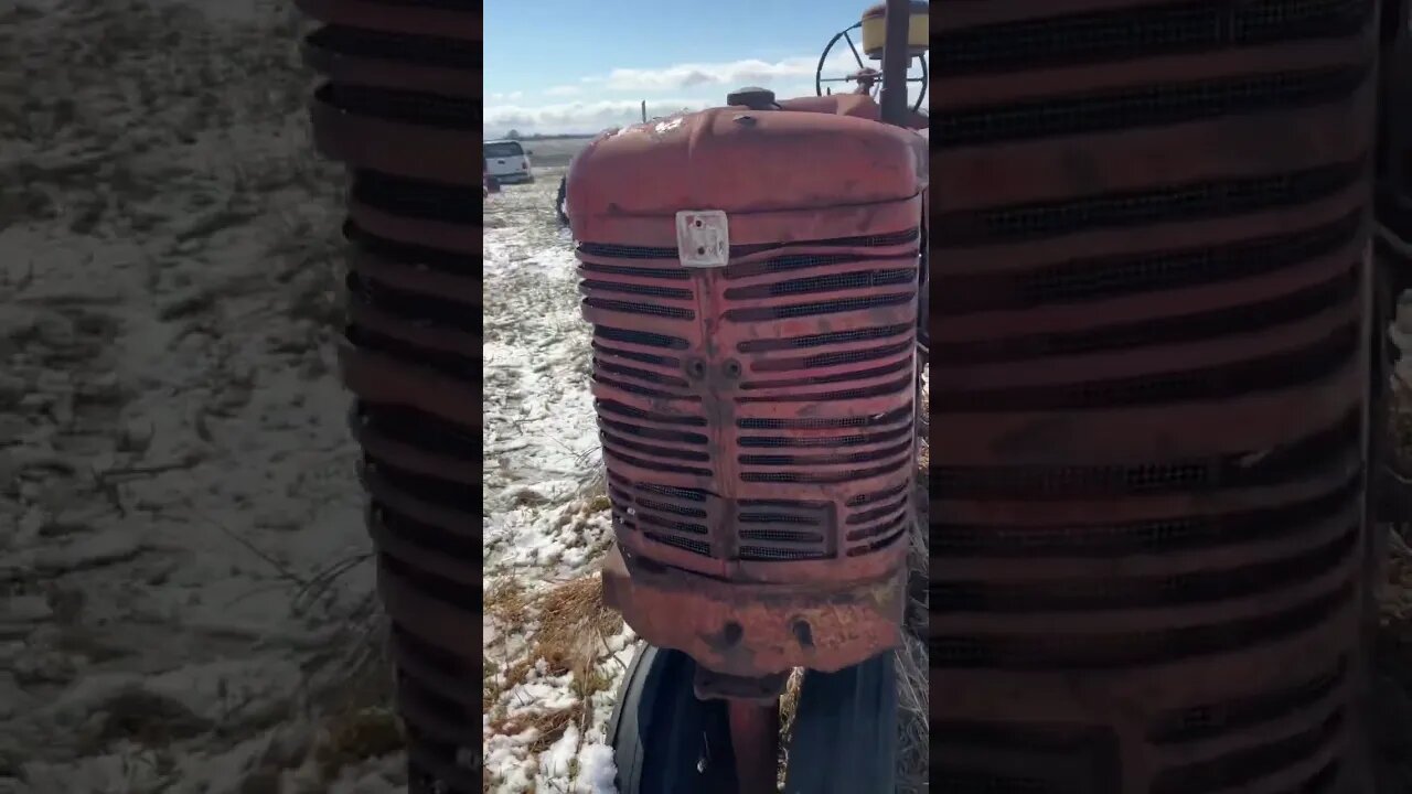 1945 Farmall M : nice patina and a solid tractor.