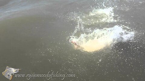 Slow-motion barra jump during fight