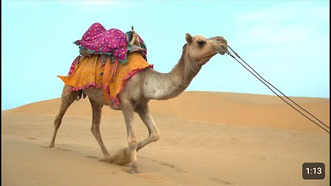 Dolby Vision Demo #6 - Landscapes Of India - 60fps 4K HDR