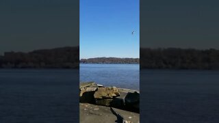 The Hudson from the Palisades (11.2022)