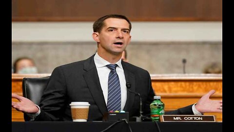 Sen. Tom Cotton: 'Media Doesn't Want to Let Me Speak Out'
