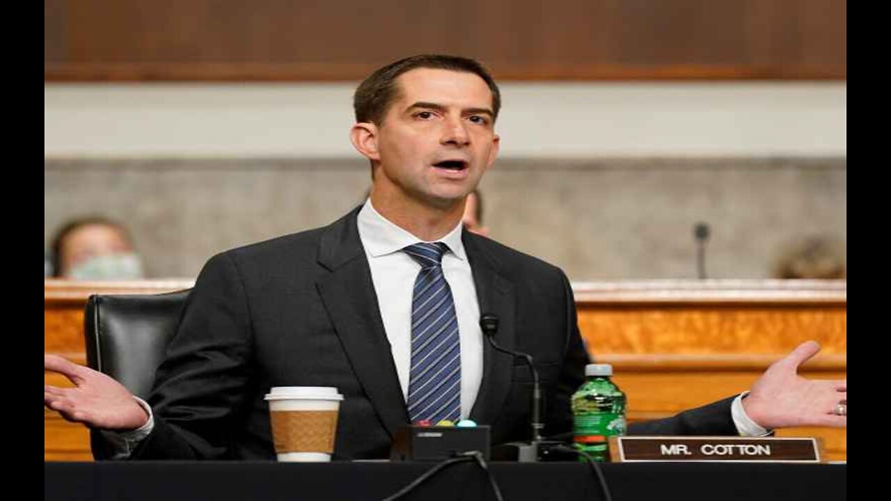 Sen. Tom Cotton: 'Media Doesn't Want to Let Me Speak Out'