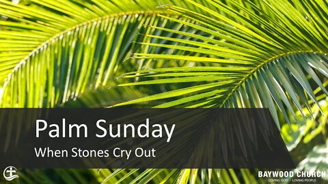 Baywood Church w/ Pastor Michael Stewart Sermon: When Stones Cry Out