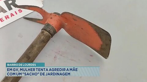 Bairro de Lourdes: Em GV, Mulher Tenta Agredir a Mãe com um "Sacho" de Jardinagem.