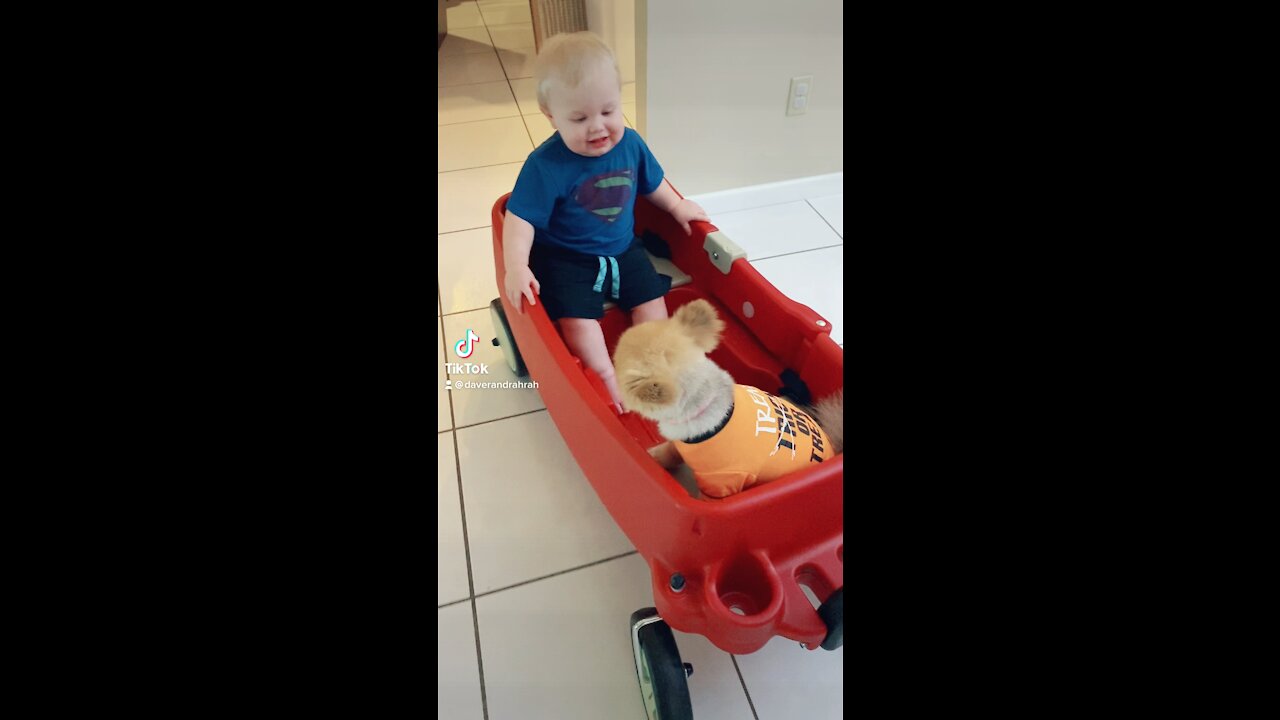 Baby and Puppy Love Riding Together in the Wagon - Cuteness Overload