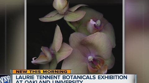 Botanicals Exhibition at Oakland University