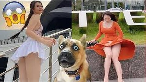 Funniest Videos 2023😂Funny Cats🐱and Dogs🐶Part9 #funny dog#funnycats #animals #babycat #cutecat