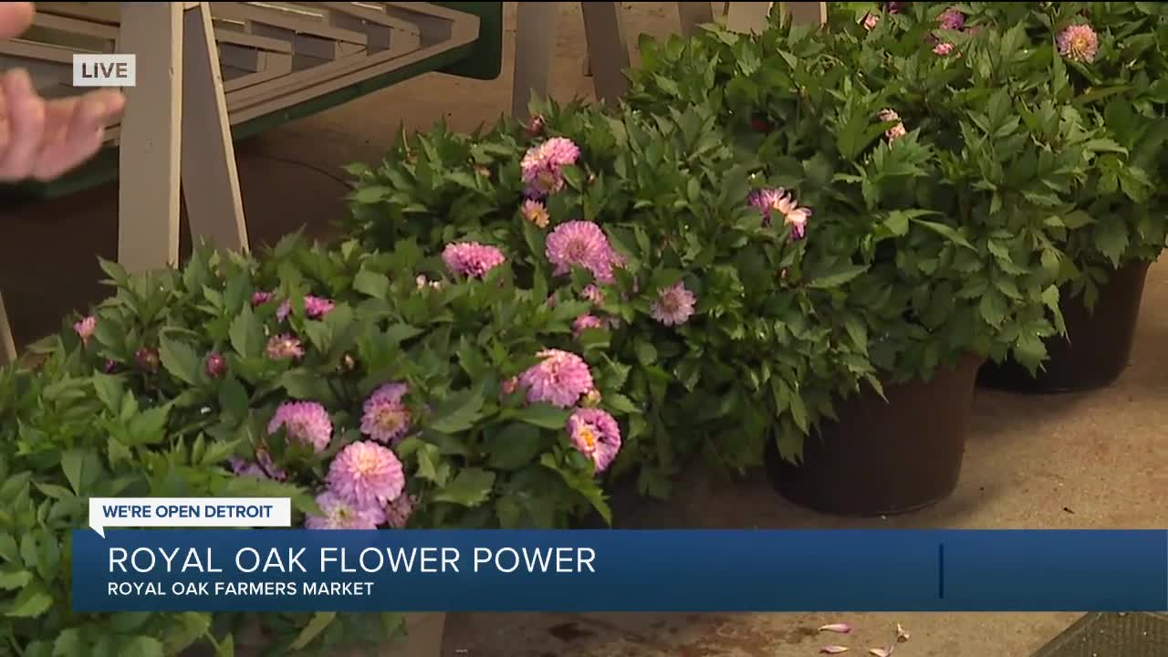 Royal Oak Flower Power