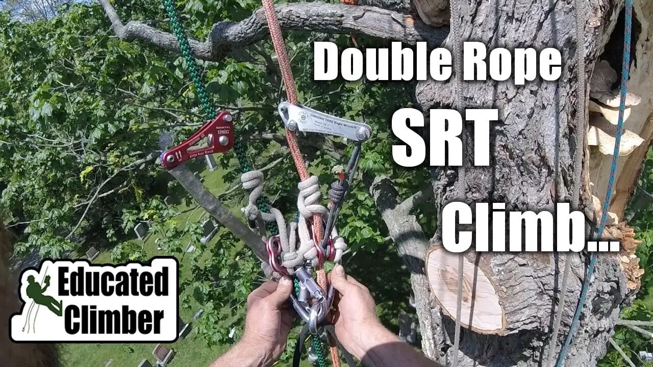 Double Rope SRT Climb | Arborist Climbing Techniques