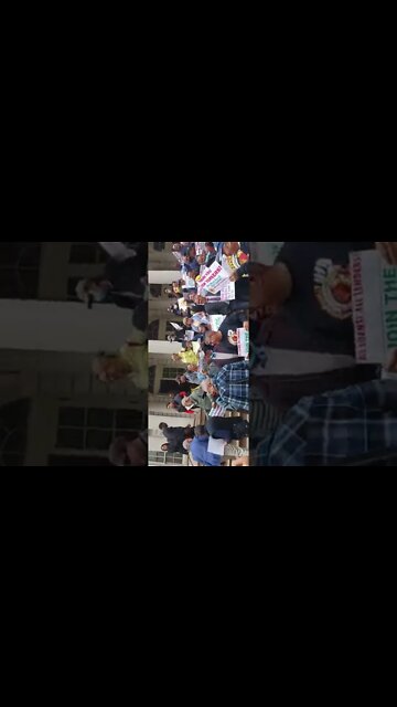 #chuckschumer #Schumer #nyc #New York