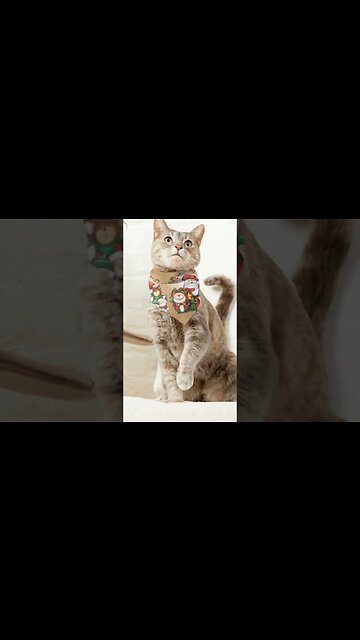 Looking for some great christmas gifts // Check us out #christmas #christmasgifts