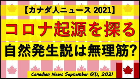 コロナ起源を探る