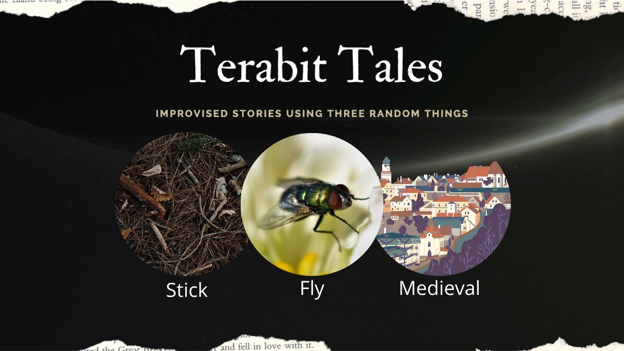 A fly and a stick in Medieval times, what happens?